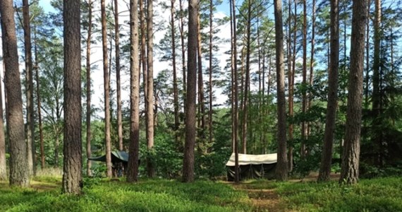 Troje dzieci zostało poszkodowanych w czasie burz, jakie w piątek po południu przetoczyły się przez Polskę. To harcerze ewakuowani z obozów harcerskich. W całej Polsce takich obozów ewakuowano kilkanaście. 