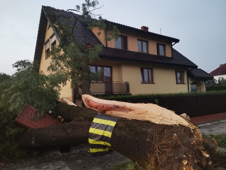 /Foto: Wójt Dariusz Cieślak /