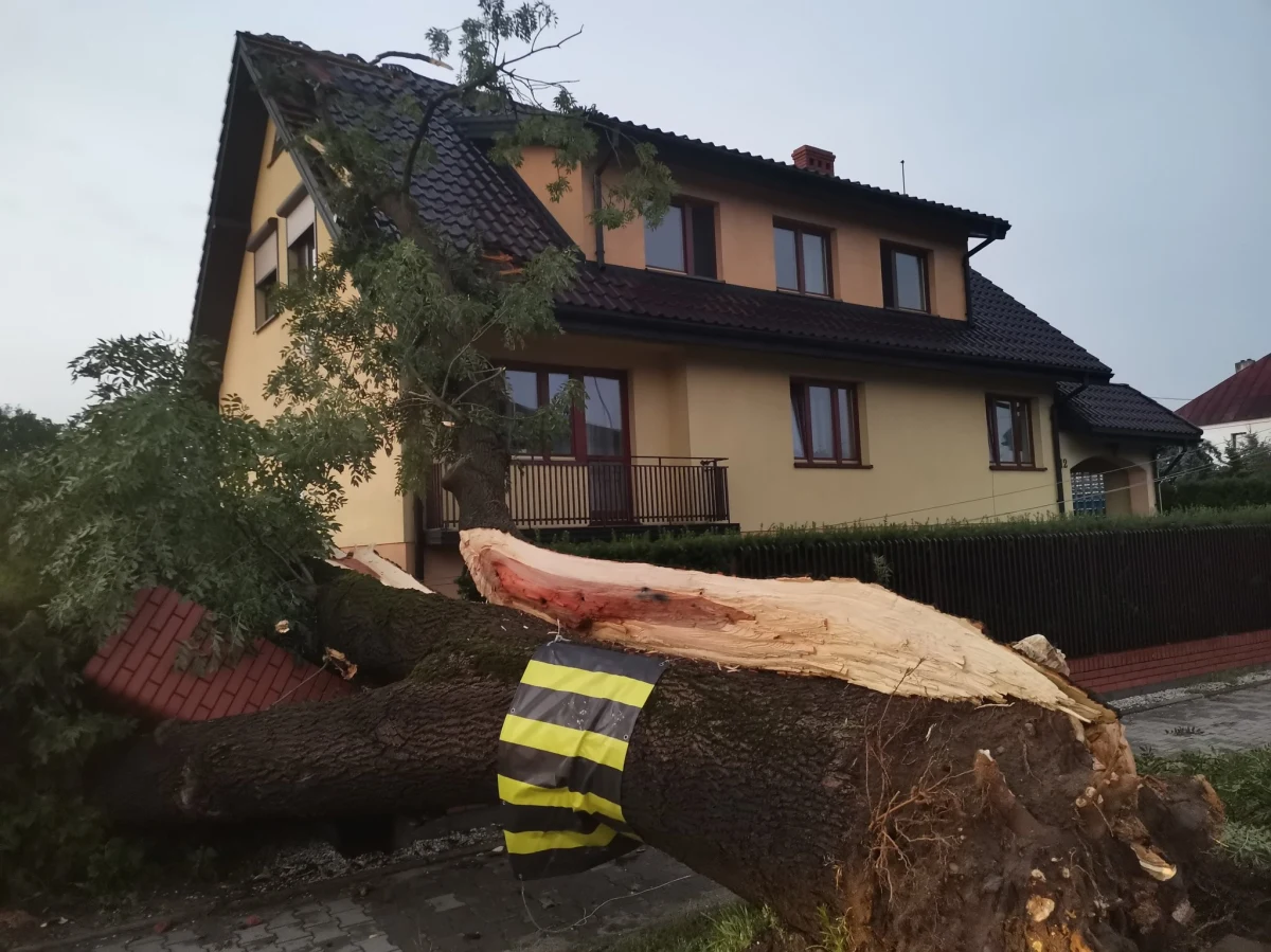 To była trąba powietrzna - mówi w rozmowie z reporterką RMF FM wójt gminy Sędziejowice w powiecie łaskim w Łódzkiem. W Sędziejowicach i Kolonii Nowe Kozuby niebezpieczny żywioł wczoraj zerwał dachy z 60 budynków. 