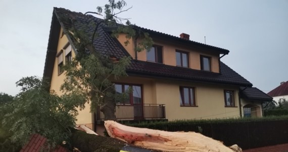 To była trąba powietrzna - mówi w rozmowie z reporterką RMF FM wójt gminy Sędziejowice w powiecie łaskim w Łódzkiem. W Sędziejowicach i Kolonii Nowe Kozuby niebezpieczny żywioł wczoraj zerwał dachy z 60 budynków. 