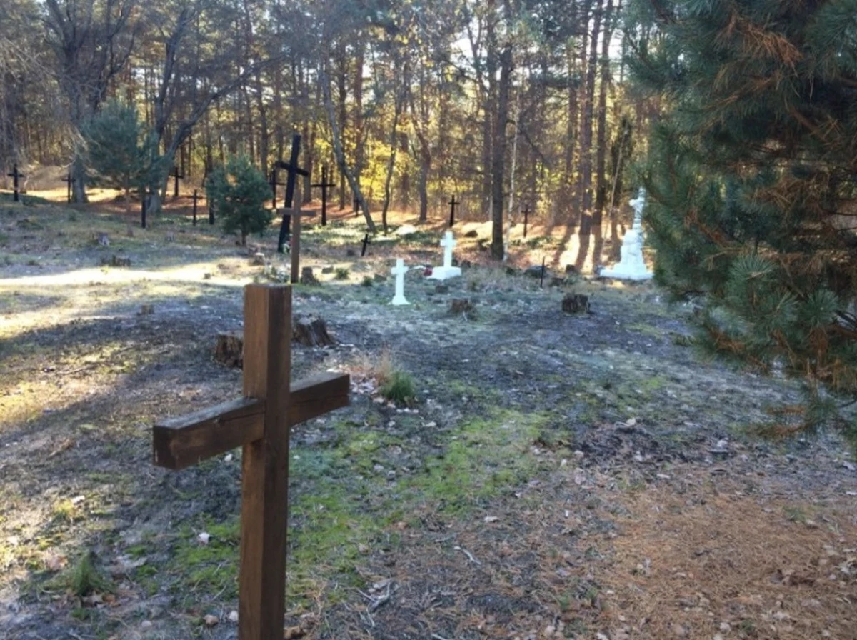 Rzeź wołyńska, „zaplanowana i z niewysłowionym okrucieństwem realizowana przez OUN – UPA, w piekło cierpienia zamieniła nie tylko Wołyń, ale też liczne wioski Podola, Pokucia czy Małopolski Wschodniej” – podkreślił w dniu pamięci o ofiarach rzezi wołyńskiej premier Mateusz Morawiecki. Zaznaczył, że „nigdy nie pozwolimy na wymazanie z pamięci czy zakłamanie tej strasznej i ważnej części dziejów”.