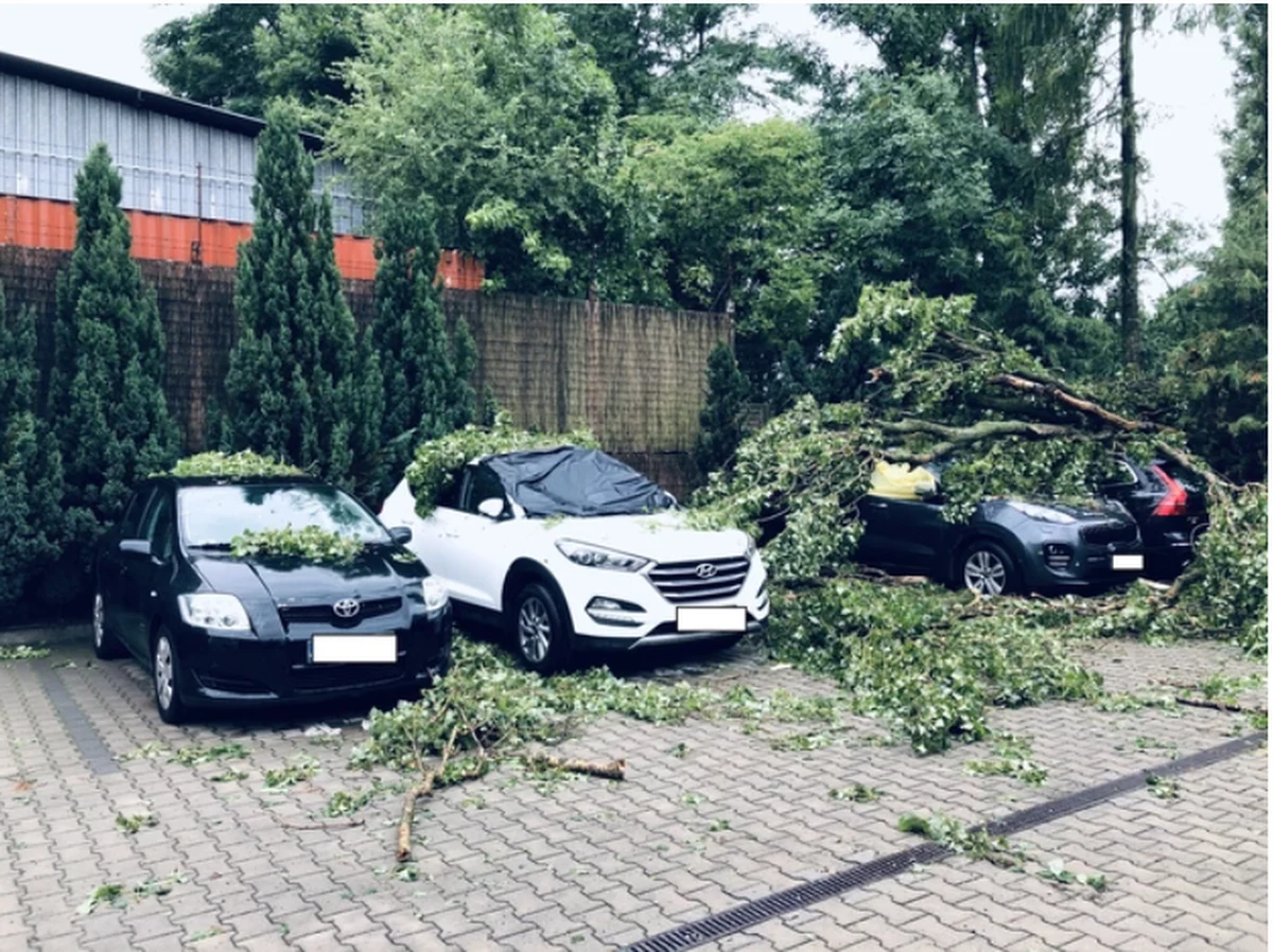 Ostrzeżenia o burzach, ulewnym deszczu, silnym wietrze i gradzie. RCB rozesłało kolejne alerty – Łódź czeka dzisiaj kolejna niespokojna noc. Strażacy w regionie łódzkim przyjęli dotąd 2250 zgłoszeń po burzach, które przeszły przez województwo w środę wieczorem i w nocy ze środy na czwartek. Cztery osoby zostały ranne.