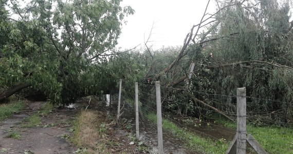 Ok. 200 zgłoszeń dotyczących przede wszystkim połamanych drzew i konarów na drogach, ale też zerwanych dachów, czy zalanych piwnic - odebrali w czwartek podlascy strażacy w związku z burzami, które przeszły nad regionem. PGE informuje, że 6,5 tys. odbiorców pozostaje bez prądu.