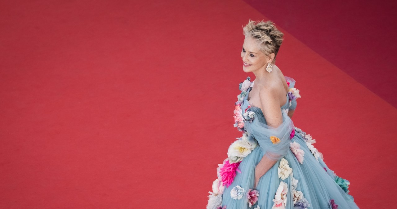 Sharon Stone, po siedmiu latach przerwy, pojawiła się na Międzynarodowym Festiwalu Filmowym w Cannes. Jej kreacja, w której pokazała się na czerwonym dywanie, zapierała dech w piersiach. Fotoreporterzy nie kryli zachwytu.