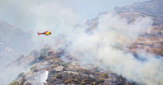 Kilka tysięcy strażaków gasi ponad 50 pożarów lasów w Hiszpanii. Najtrudniejsza sytuacja panuje na północnym wschodzie kraju, gdzie do popołudnia z zagrożonych terenów trzeba było ewakuować blisko pół tysiąca osób.