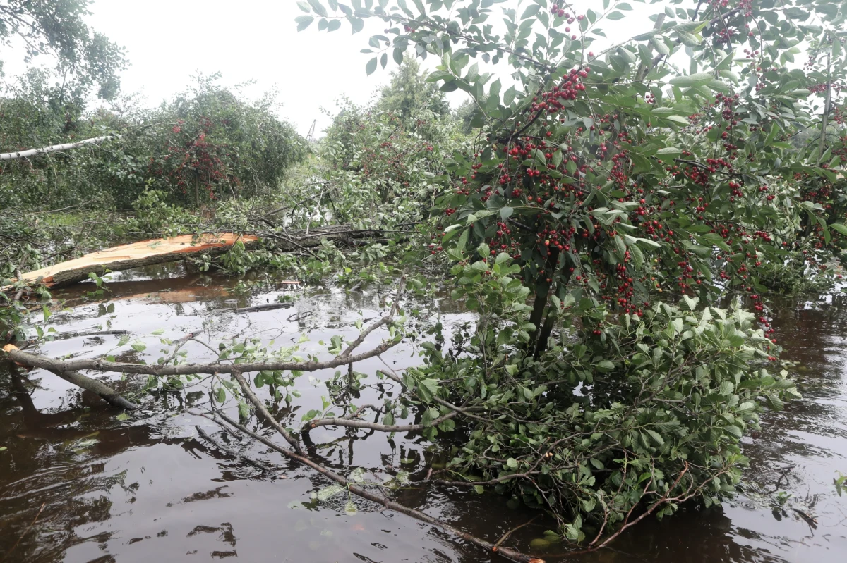 Burze ponownie przeszły nad Polską i doprowadziły do licznych zniszczeń domów i infrastruktury. Wiele dróg jest zalanych. Kierowcy muszą liczyć się z problemami na trasie.