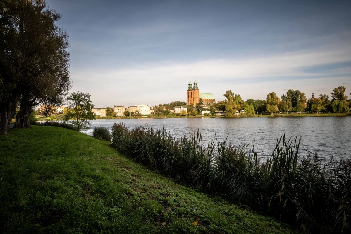 Z powodu przyduchy, czyli braku odpowiedniej ilości tlenu w wodzie, w jeziorze Jelonek w centrum Gniezna padło około trzech ton ryb. W niedzielę strażacy przez kilka godzin próbowali napowietrzyć zbiornik.