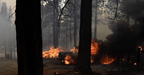 Niszczycielskie pożary trawią Stany Zjednoczone. W tej chwili – jak podaje CNN – 13 amerykańskich stanów zmaga się z aż 80 ogromnymi pożarami lasów, które objęły już powierzchnię ponad miliona akrów, przede wszystkim na zachodzie kraju.