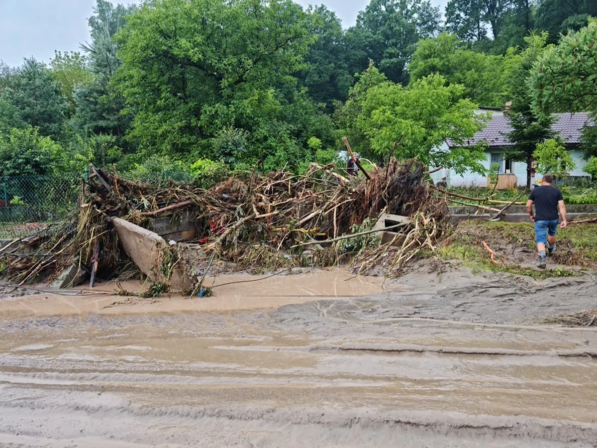 1400 wyjazdów strażackich - tak wygląda podsumowanie burzowej niedzieli. Jak informuje reporter RMF FM Grzegorz Kwolek, najwięcej interwencji było w Małopolsce, na Podkarpaciu i Mazowszu. Większość dotyczyła podtopień. 