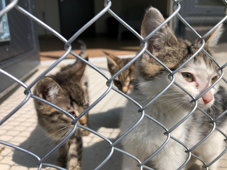 /Mateusz Chłystun /RMF FM