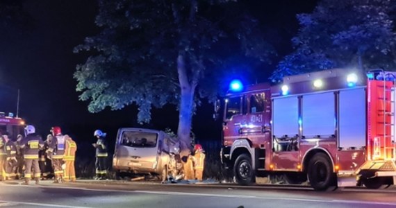 Ośmioosobowa rodzina została ranna w wypadku koło Budzynia na krajowej "jedenastce" w Wielkopolsce. Jak informuje GDDKiA, w miejscowości Budzyń bus uderzył w drzewo. Wśród poszkodowanych są dzieci w wieku od 3 miesięcy do 12 lat.