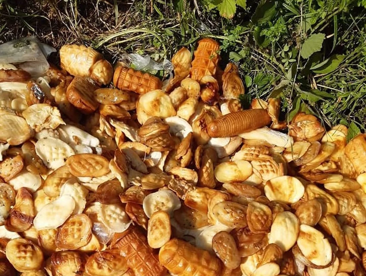 Leśnicy w Bieszczadach poszukują osoby lub osób, które wyrzuciła w lesie kilkanaście kilogramów serków przypominających oscypki. Nadleśnictwo Ustrzyki Dolne wskazuje, że sery mogą stanowić śmiertelne zagrożenie dla dzikich zwierząt.