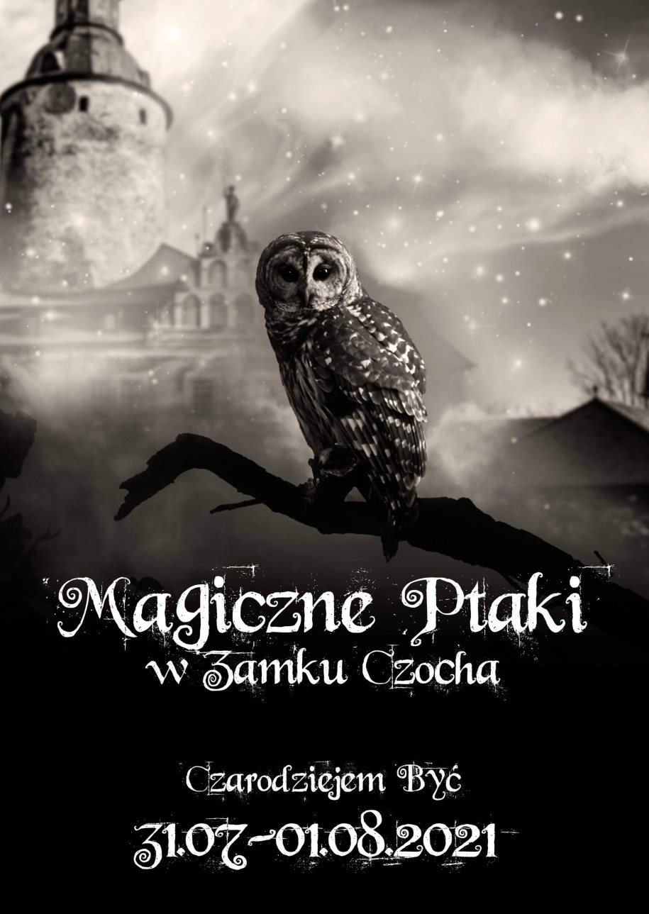 /Materiały promocyjne /