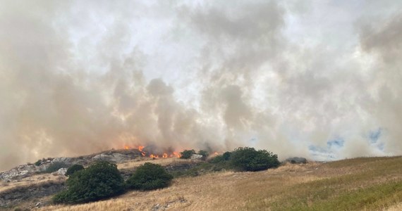 Italia: Cerdeña se enfrenta a un incendio.  ‘Un desastre sin precedentes’