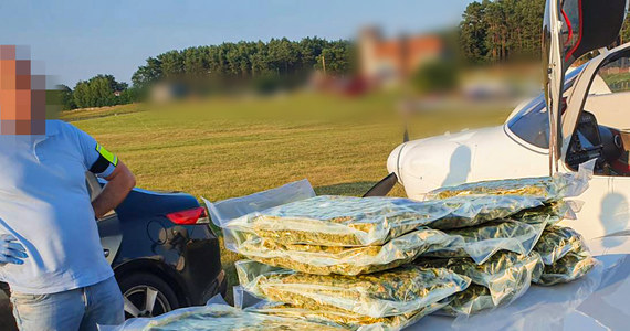 Kupili mały samolot, którym z Hiszpanii przemycali do Polski narkotyki. Funkcjonariusze CBŚP na gorącym uczynku zatrzymali koło Zielonej Góry dwóch mężczyzn, którzy w maszynie mieli ponad 70 kilogramów marihuany. 