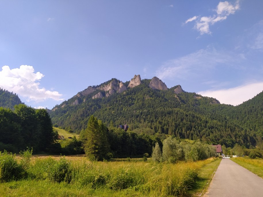 /Tomasz Weryński /RMF FM