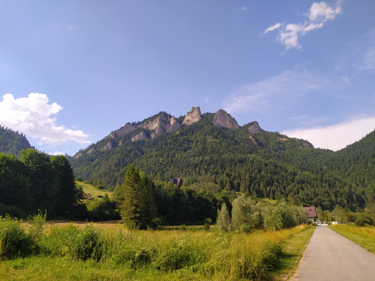 ​Niebieski szlak turystyczny Tarnów-Wielki Rogacz polecamy tym razem w naszym wakacyjnym cyklu. To jeden z najdłuższych szlaków długodystansowych w Polsce - ponad 180 kilometrów pieszej wędrówki przez kilka pasm górskich. Wspólnym mianownikiem tej trasy są wspaniałe widoki, zapierające dech w piersiach panoramy, a także wyjątkowe zabytki. Na pokonanie trasy przeznaczyć trzeba 5-8 dni. Przebiega ona przez Pogórze Ciężkowickie, Pogórze Rożnowskie, Beskid Wyspowy, Gorce, Pieniny i Beskid Sądecki. 