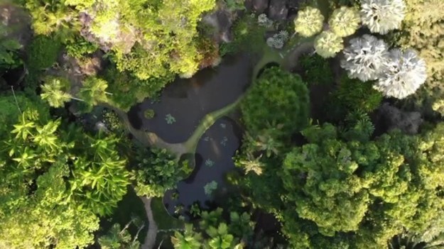 Ogrody brazylijskiego architekta krajobrazu Roberto Burle Marxa wpisane na listę światowego dziedzictwa UNESCO. Roberto Burle Marx przez lata sadził i pielęgnował tysiące roślin, zbierał też zabytki sztuki prekolumbijskiej. W 1985 roku przekazał dom wraz z ogrodami rządowi Brazylii.