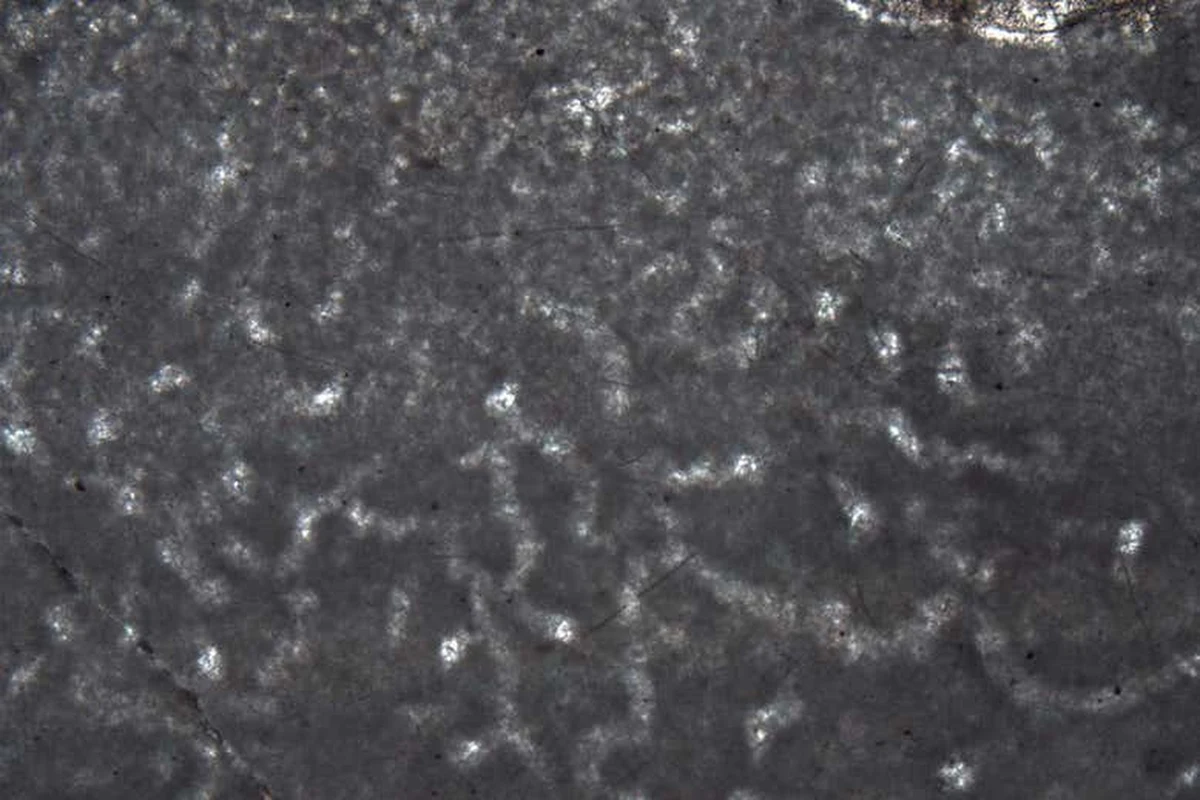 ​Skamieliny znalezione w górzystym terenie Kanady północno-zachodniej mogą sugerować, że Zwierzęta mogły pojawić się na Ziemi nawet 350 milionów lat wcześniej, niż do tej pory przypuszczano.