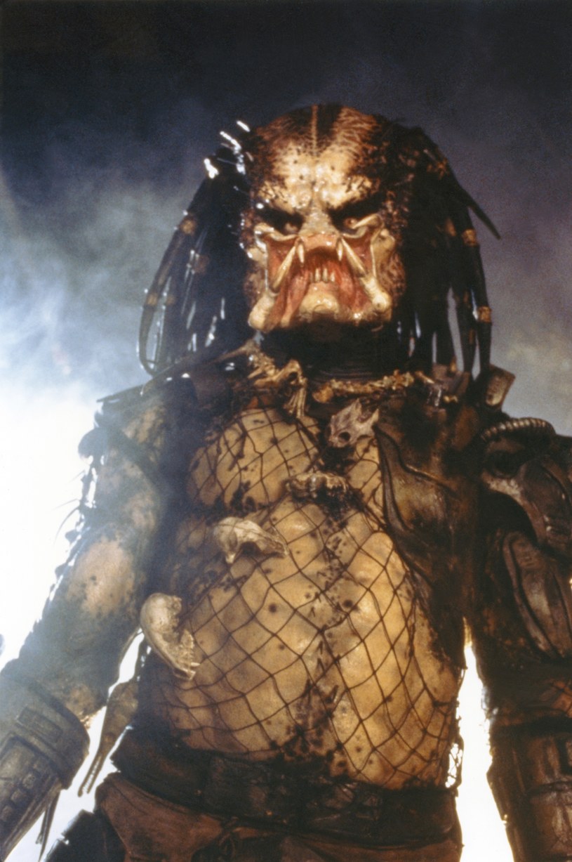 W 1987 roku na ekrany kin trafił thriller science fiction wyreżyserowany przez Johna McTiernana zatytułowany "Predator". Film przeszedł do historii kina, ale jego kontynuacje i rebooty nie radziły sobie już tak dobrze. Inaczej ma być w przypadku przygotowywanej przez Dana Trachtenberga kolejnej odsłony serii. Zdaniem jej producenta, Johna Davisa, film będzie tak dobry jak oryginalne dzieło McTiernana. Będzie on nosił tytuł "Skull", czyli "Czaszka".