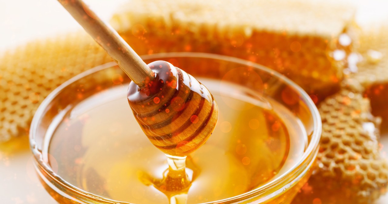 Stworzyli miód o smaku czekolady. Wykorzystują ogromne ilości odpadów Stworzyli miód o smaku czekolady. Wykorzystują ogromne ilości odpadów