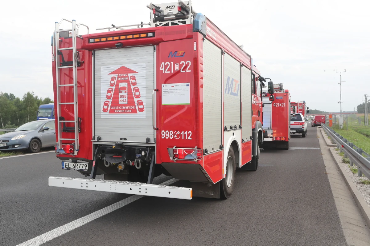 32 zastępy straży opanowały pożar pól i lasu niedaleko miejscowości Samborsko (pow. złotowski, woj. wielkopolskie). W akcji strażaków wspomaga samolot gaśniczy. W wyniku pożaru, który wybuchł w czwartek po południu, spłonęło około 80 ha zboża na pniu oraz ścierniska.