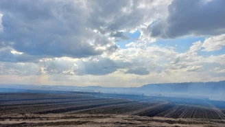 Wielkopolskie: Strażacy walczyli z ogromnym pożarem. Płonęło ponad 70 hektarów 