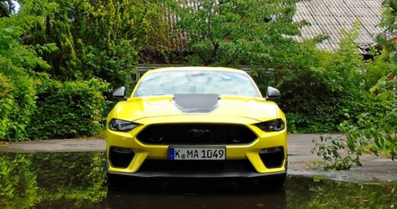 ​Ford Mustang Mach 1 - rasowy koń wyścigowy - Vimarsana News
