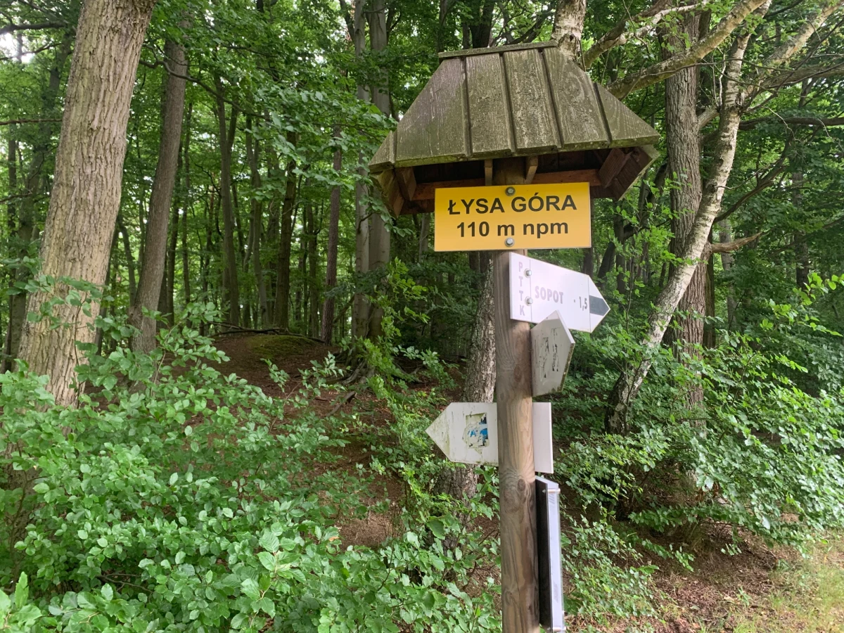 ​"Małe Bieszczady" - tak bywają nazywane niektóre okolice, przez które prowadzi Szlak Wzgórz Szymbarskich. W wakacyjnym cyklu "Polskie Szlaki w Faktach RMF FM" zabieramy Was na trasę najbardziej malowniczego szlaku wiodącego przez Kaszuby. Dzięki polodowcowej rzeźbie terenu kusi on niesamowitymi widokami, ale także pięknymi dolinami. I choć maksymalna wysokość, na jaką dotrzemy to niespełna 330 metrów nad poziomem morza, to na szlaku można poczuć się jak w górach.