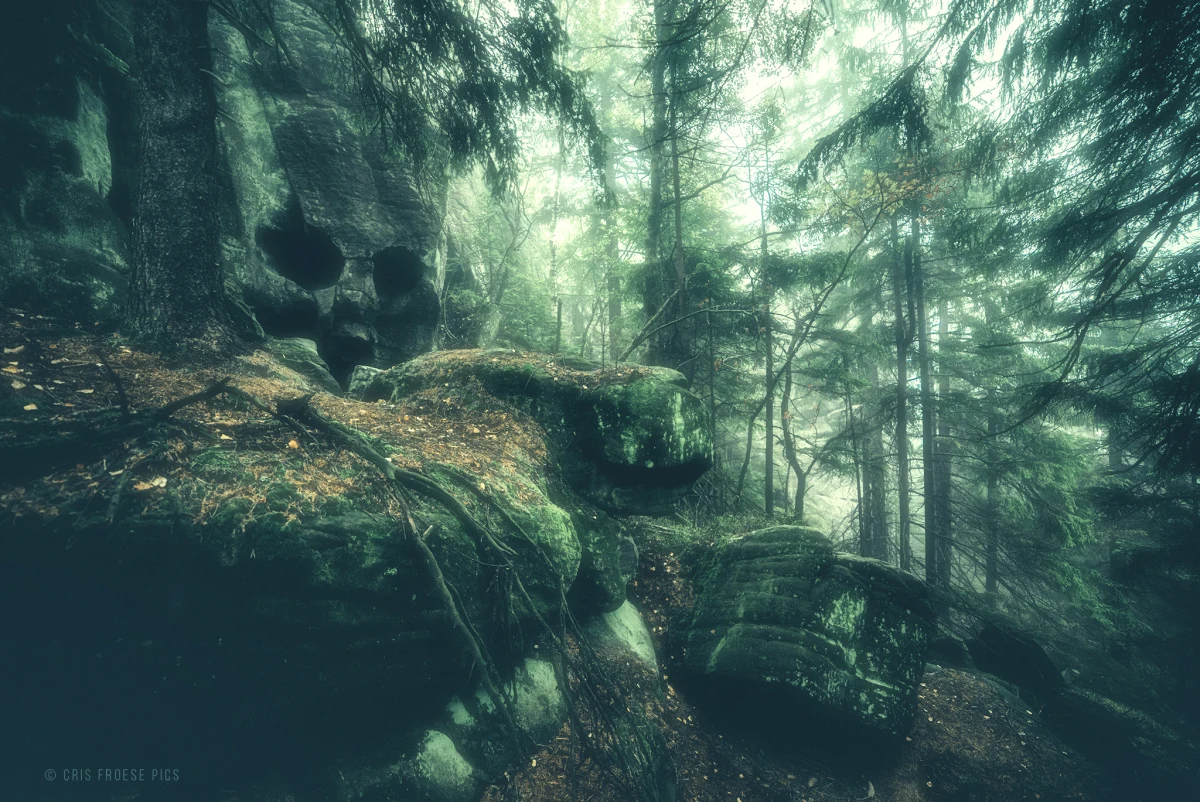 Park Narodowy Gór Stołowych na Dolnym Śląsku udostępnił turystom Skalną Czaszkę.  To skała, którą procesy geologiczne doprowadziły do tego, że wygląda jak ludzka czaszka. Do tej pory była niedostępna, bo jest na terenie ochrony ścisłej. Przyciągała jednak odwiedzających park, którzy aby ją zobaczyć łamali prawo... schodząc ze szlaku.