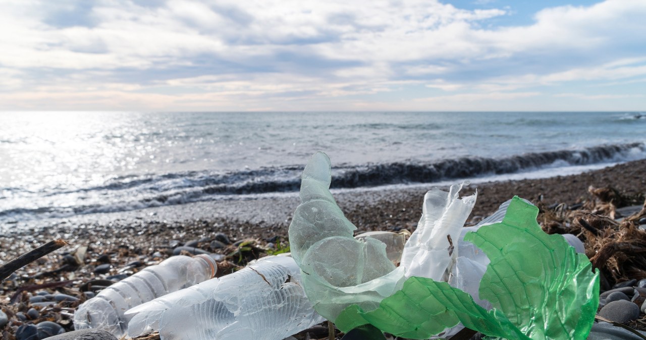 Plastik zamiast pieniędzy. W tym kraju można zjeść i zapłacić śmieciami