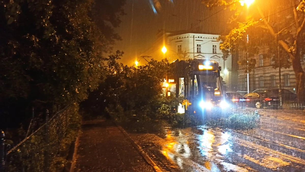 Ponad 700 razy interweniowali strażacy w związku z burzami i opadami deszczu. Najwięcej pracy mają w województwach małopolskim, śląskim i podkarpackim. Wypompowują wodę z zalanych piwnic budynków, udrażnianiają przepusty i usuwają z dróg powalone drzewa. 