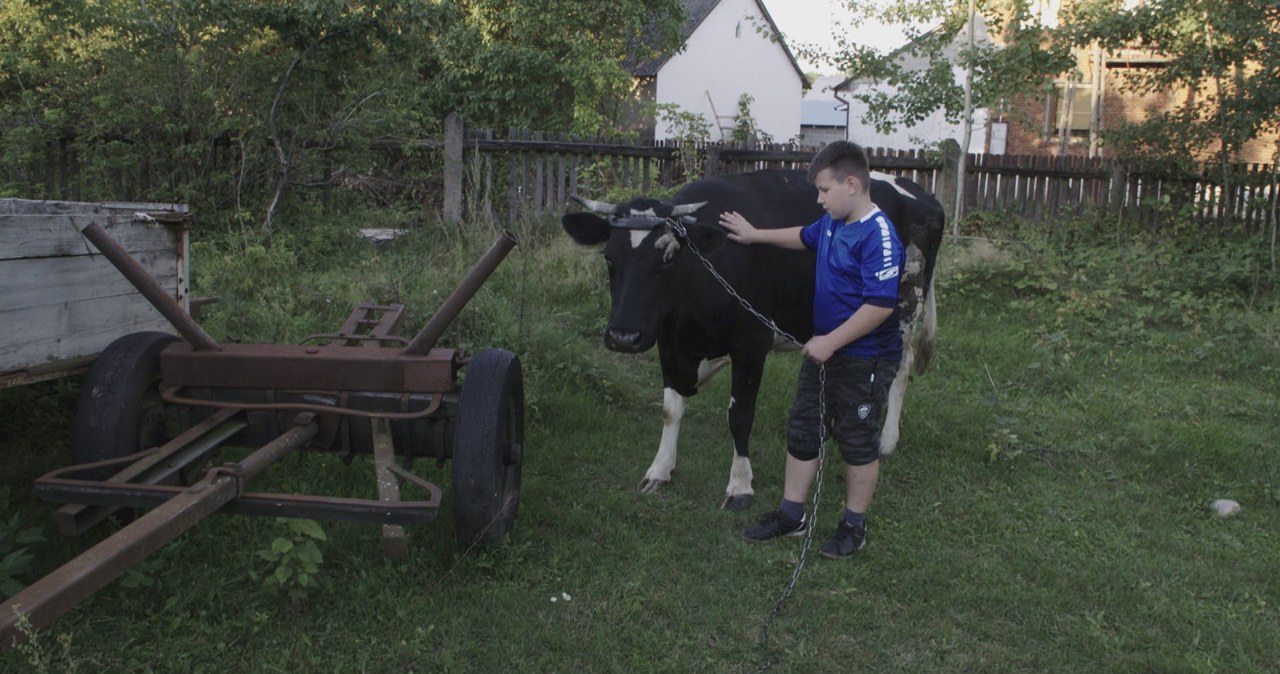 Ma 11 lat i ogromny dług do spłacenia, który odziedziczył po ojcu. Oprócz babci nie ma nikogo bliskiego. Bartek z miejscowości Poręba wraz z babcią Barbarą żyją bardzo skromnie, ledwo wiążąc koniec z końcem. Ich historia poruszyła ekspertów "Wolni od długów" na tyle mocno, że bez wahania postanowili pomóc potrzebującym. Efekty ich działań będzie można śledzić w 12. odcinku programu.