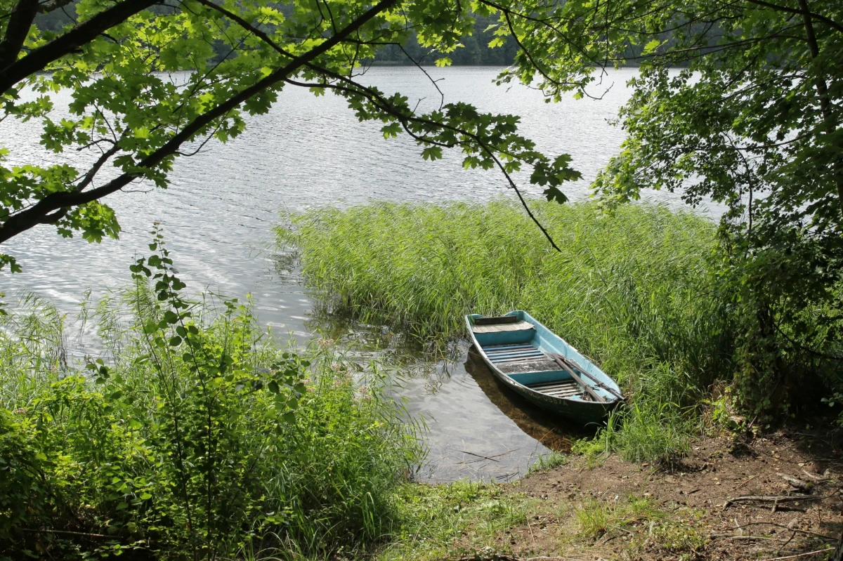 Zwłoki mężczyzny z ranami kłutymi znaleziono w jeziorze Święte w miejscowości Kurki w gminie Olsztynek w woj. warmińsko-mazurskim.