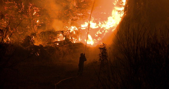 Grecia: Pompierii controlează flăcările în Peloponez.  Yubia încă arde