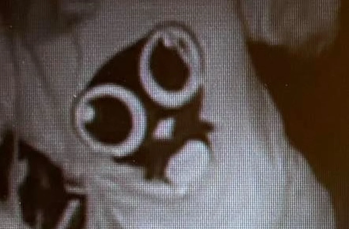 Złodziej okradł schronisko PTTK na Klimczoku w Beskidach. Gestorzy w mediach społecznościowych poinformowali, że w nocy z soboty na niedzielę sprawca wyważył drzwi i ukradł pieniądze, skarbonkę oraz kilka paczek batonów. Uchwyciła go kamera monitoringu.