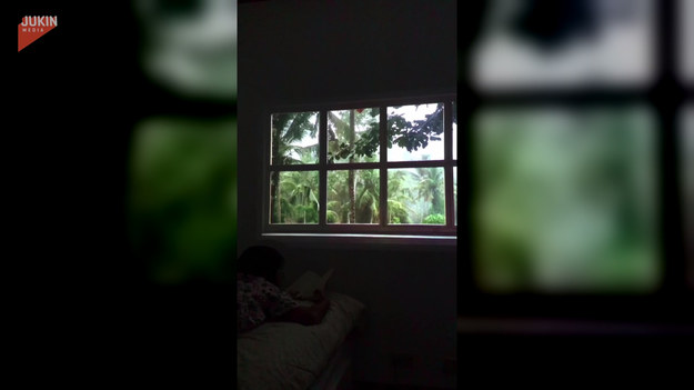 Pewna kobieta wyposażyła się w mały projektor. Z jego pomocą stworzyła ciekawą iluzję. Nowy widok za oknem? Od dzisiaj to nie problem!