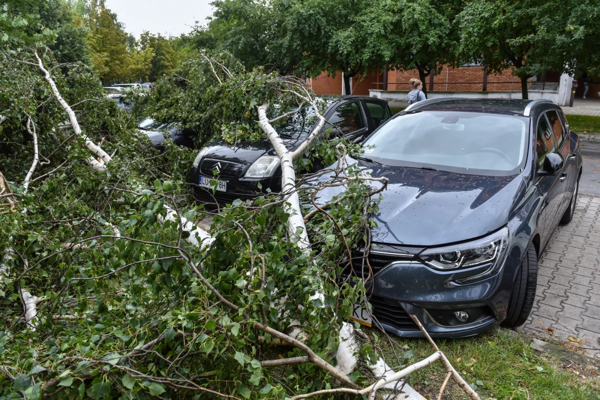 ​Do ponad trzystu wzrosła liczba interwencji związanych z nawałnicą, która przeszła w nocy i nad ranem w okolicach Lublina. Trwa sprzątanie miasta, najwięcej zniszczeń dotyczy powalonych drzew, zamknięty jest Ogród Saski. Ponad 4 tys. odbiorców pozostaje jeszcze bez prądu.