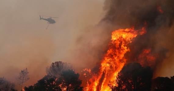 Pożary na Lazurowym Wybrzeżu. Nie żyją co najmniej dwie osoby - Świat Do dwóch wzrosła liczba ofiar śmiertelnych pożarów na Lazurowym Wybrzeżu we Francji - powiadomiła w środę prefektura departamentu Var. Tamtejsza straż pożarna poinformowała, że pożary wciąż nie zostały opanowane.