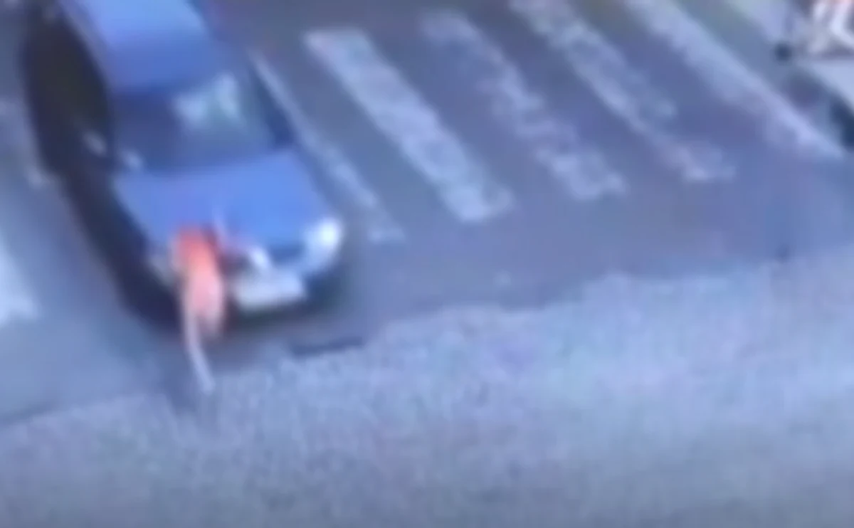 10-letni chłopiec został potrącony na przejściu dla pieszych we Wschowie. Dziecko na szczęście nie odniosło poważniejszych obrażeń. Policja ku przestrodze opublikowała nagranie z monitoringu, pokazujące to zdarzenie. 