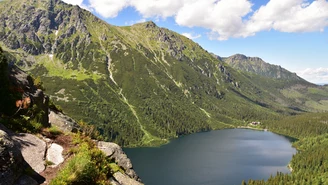 Tatry. Szli na Morskie Oko z brazylijską małpką. Zatrzymali ich strażnicy TPN