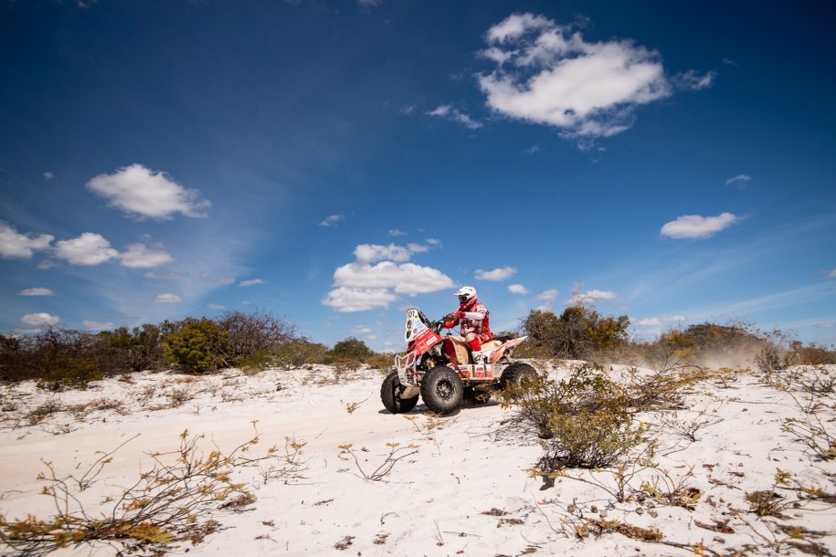 /materiały prasowe /