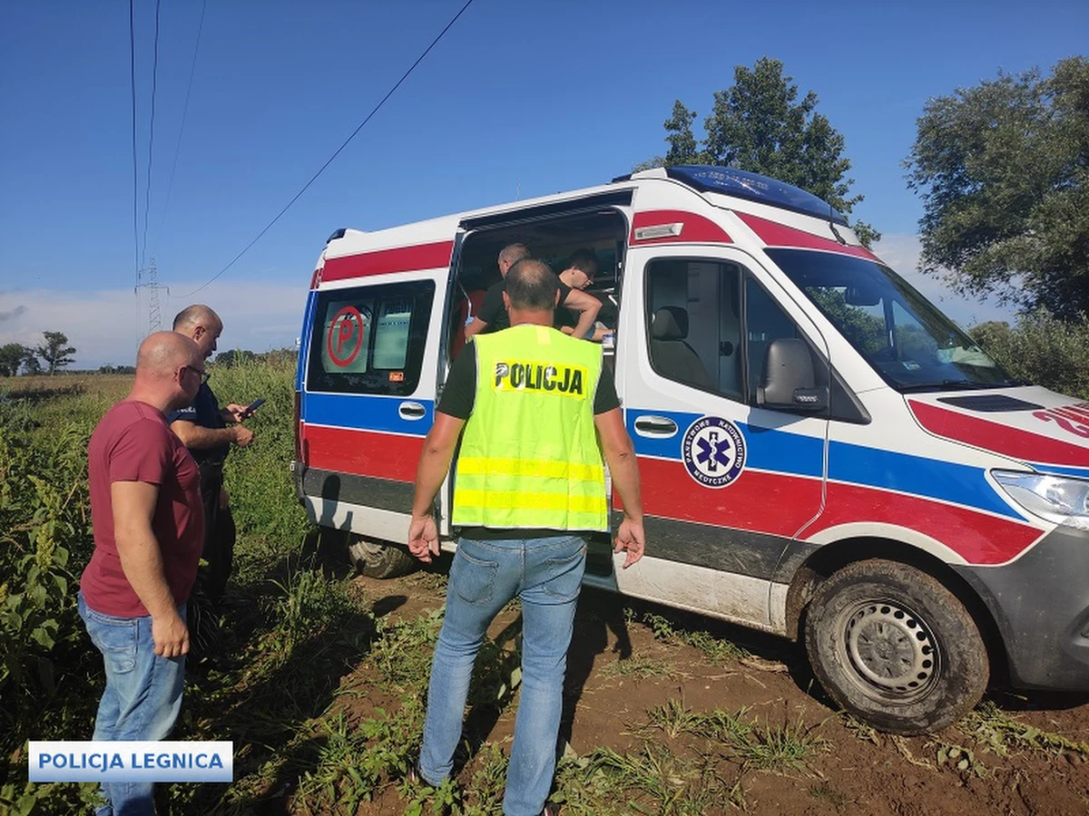 Trzy doby trwały poszukiwania 74-letniej kobiety, mieszkanki Legnicy w woj. dolnośląskim. Wiadomo było, że kobieta wsiadła do autobusu odjeżdżającego w stronę miejscowości Pątnów Legnicki, a potem ślad po nie zaginął. W poszukiwaniach zaangażowanych było kilkaset osób, ponieważ wiadomo było, że 74-latka ma problemy z pamięcią.