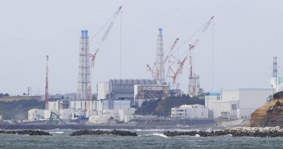 W związku z obawami rybaków operator zniszczonej elektrowni jądrowej w Fukushimie zamierza wybudować kilometrowy tunel, by spuścić radioaktywną wodę głębiej do oceanu. Japoński rząd będzie natomiast interwencyjnie skupował od rybaków owoce morza - podały media.