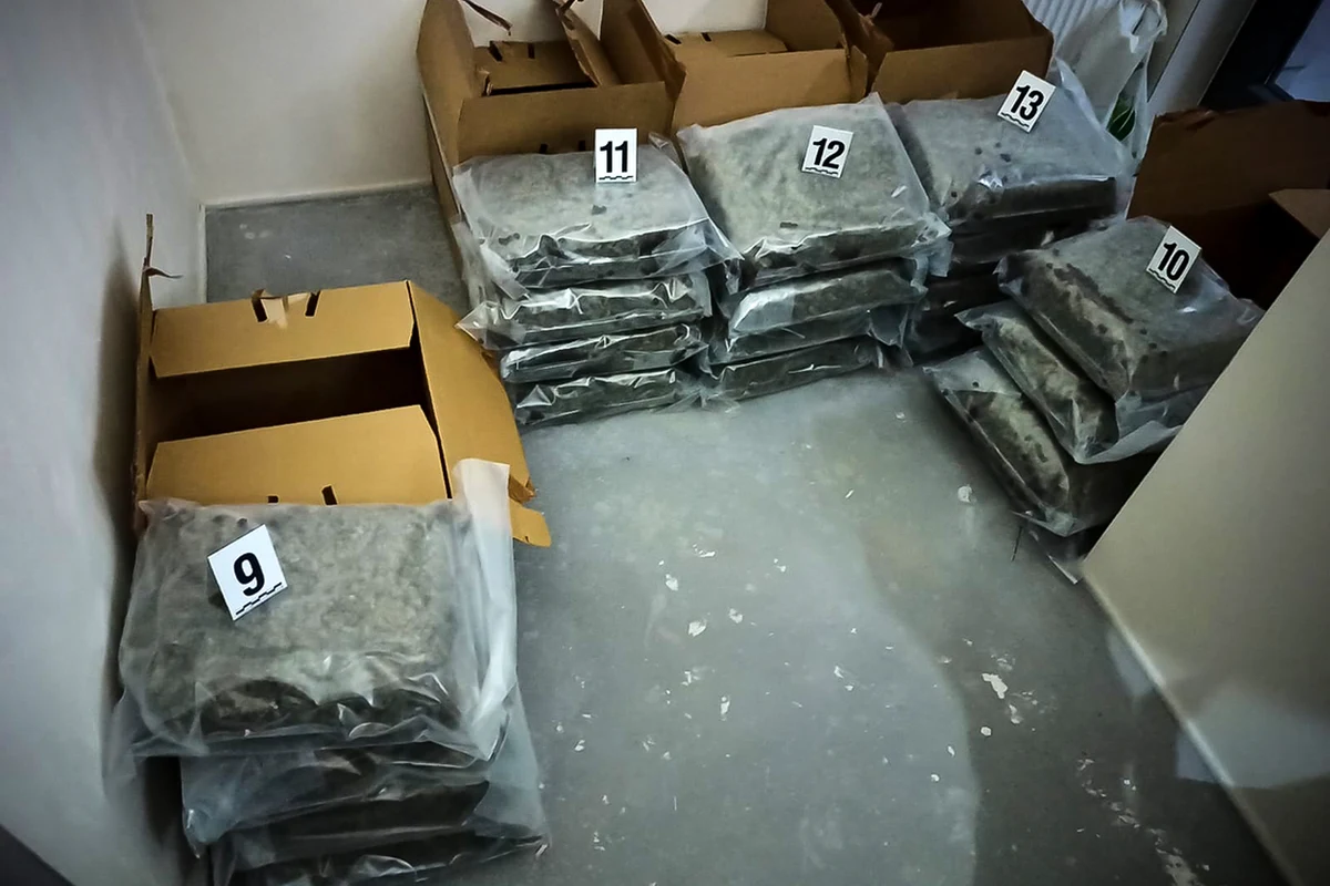 Policjanci Centralnego Biura Śledczego Policji z Lublina przejęli prawie 80 kg marihuany, wartej ponad 3 mln zł. Podczas akcji zatrzymano 2 mężczyzn, którym przedstawiono zarzuty dot. przestępczości narkotykowej. Według śledczych, w proceder zamieszani są pseudokibice jednego ze śląskich klubów sportowych - informuje CBŚP.