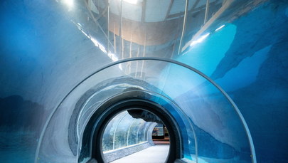 Nowa atrakcja w Łodzi: Podwodny tunel w orientarium