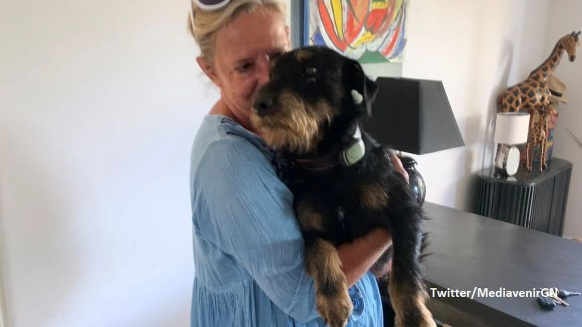 Francuska para była zrozpaczona kiedy okazało się, że ich pies zgubił się w Alpach Sabaudzkich. Na szczęście historia skończyła się happy endem. Dwuletni terier sam znalazł drogę do domu i przebiegł 380 kilometrów z Saint-Martin-de-Belleville do Bezouce.