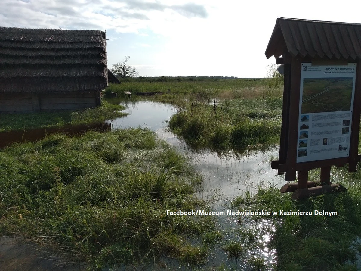 Długotrwałe opady deszczu spowodowały, że część skansenu Grodziska Żmijowiska (gmina Wilków) w Kotlinie Chodelskiej została zalana. Zniszczone zostały dwie słowiańskie chaty i ogródek doświadczalny.