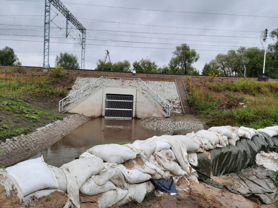 /Marek Wiosło, RMF FM /RMF FM