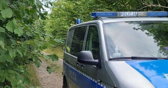 Rodzinna wyprawa na grzyby mogła się skończyć nieszczęściem. 55-letnia mieszkanka Trzebieszowa zgubiła się w lesie w okolicach Puszczy Boreckiej (woj. warmińsko-mazurskie). Przerażoną kobietę odnaleźli policjanci.